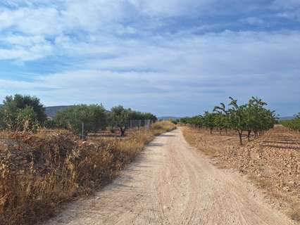 Parcela rústica en venta en El Pinós/Pinoso