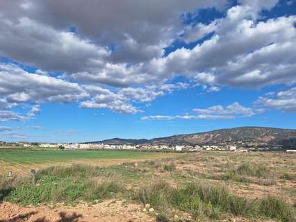 Parcela rústica en venta en El Pinós/Pinoso