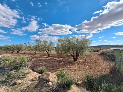 Parcela rústica en venta en El Pinós/Pinoso