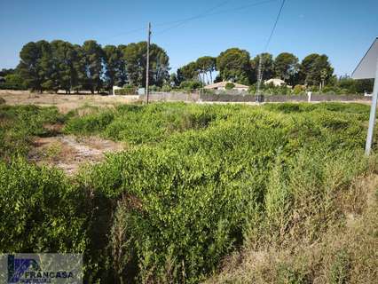 Parcela rústica en venta en Hellín zona LAS HAZAS
