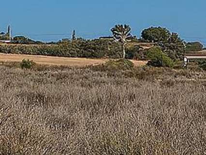 Parcela rústica en venta en Mutxamel zona EN MOLÍ NOU