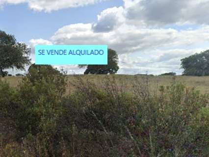 Parcela rústica en venta en Membrío zona ZONA NOROESTE DE MEMBRÍO