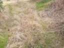 Parcela rústica en venta en Villacarrillo zona ARROYO AGUASCEBAS