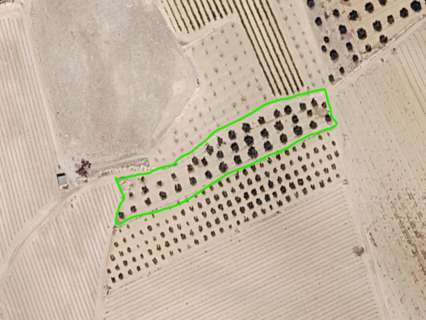 Parcela rústica en venta en Cieza zona ENTRE CIEZA Y HELLIN