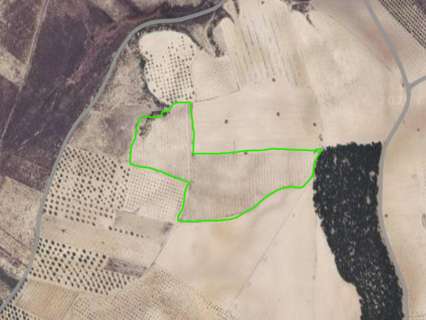 Parcela rústica en venta en Cieza zona ENTRE CIEZA Y HELLIN