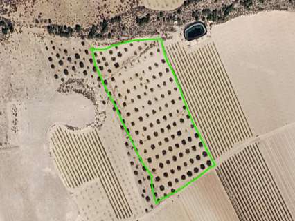 Parcela rústica en venta en Cieza zona ENTRE CIEZA Y HELLIN