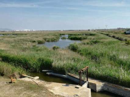 Parcela rústica en venta en La Llosa zona CERCA PLAYA