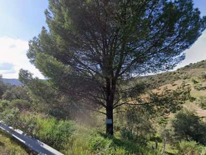 Parcela rústica en venta en Córdoba