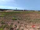Parcela rústica en venta en Córdoba