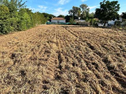 Parcela rústica en venta en Almodóvar del Río rebajada