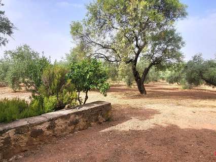 Parcela rústica en venta en Montoro