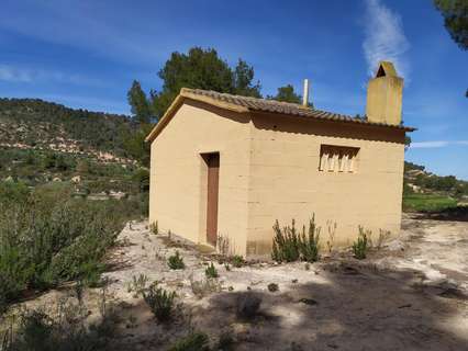 Parcela rústica en alquiler en L'Albi