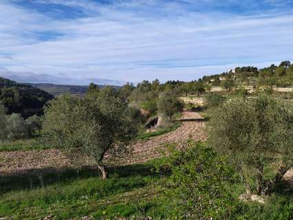 Parcela rústica en venta en Cervià de les Garrigues