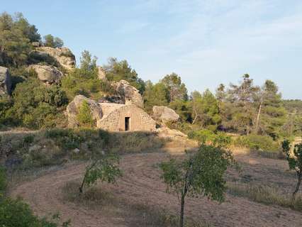 Parcela rústica en venta en Cervià de les Garrigues
