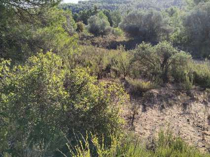 Parcela rústica en venta en Cervià de les Garrigues