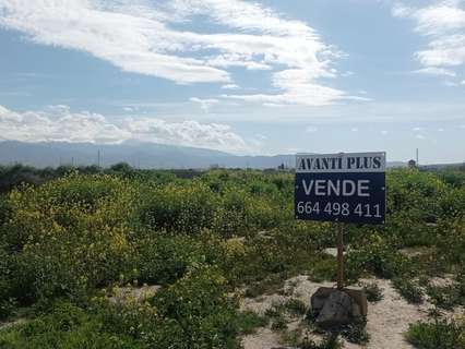 Parcela rústica en venta en Vegas del Genil zona Belicena