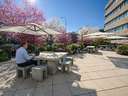 Oficina en alquiler en Madrid