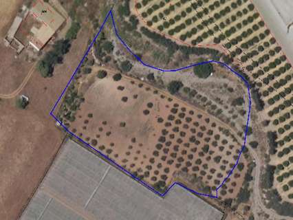 Parcela rústica en venta en Lorca