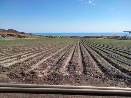 Parcela rústica en venta en Águilas