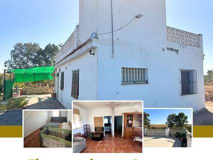 Casa rústica en venta en Carmona rebajada