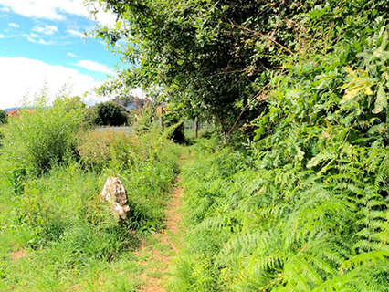 Parcela rústica en venta en Vigo