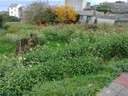 Parcela urbana en venta en Burela