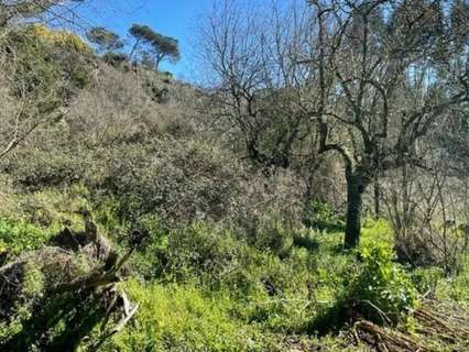 Parcela rústica en venta en Ourense