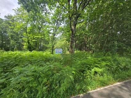 Parcela rústica en venta en Lugo