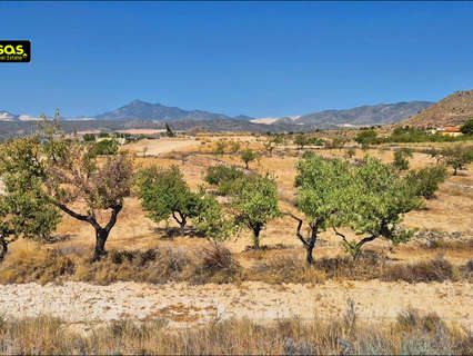 Parcela rústica en venta en Abanilla