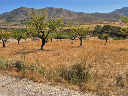 Parcela rústica en venta en Abanilla