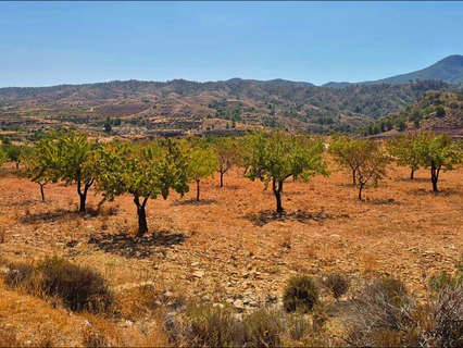 Parcela rústica en venta en Abanilla