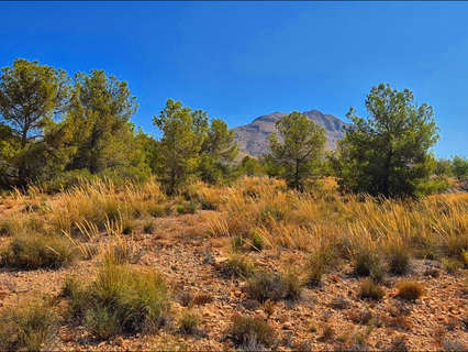 Parcela rústica en venta en Abanilla