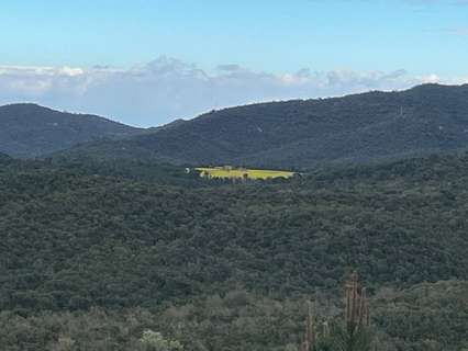 Nave industrial en venta en Llagostera