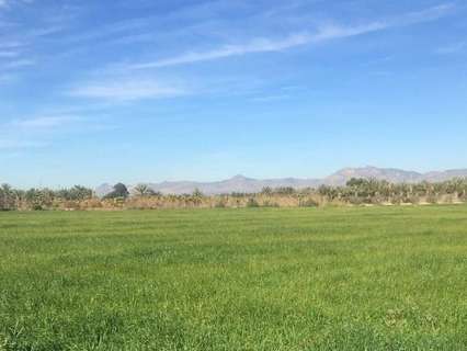 Parcela rústica en venta en Crevillent