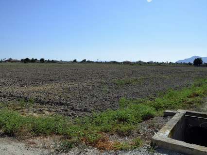 Parcela rústica en venta en Catral
