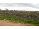 Parcela rústica en venta en Cabanillas del Campo rebajada
