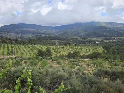 Casa en venta en Torremanzanas