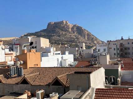Piso en alquiler en Alicante