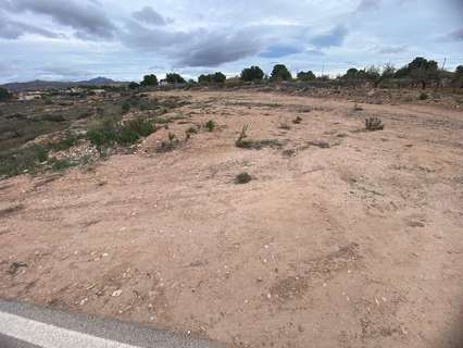 Parcela rústica en venta en Alicante