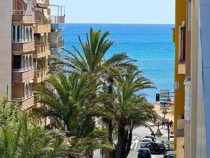 Piso en alquiler en Torrevieja