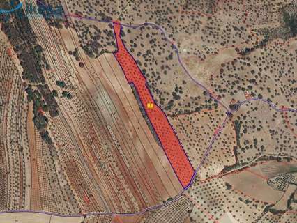 Parcela rústica en venta en Beas