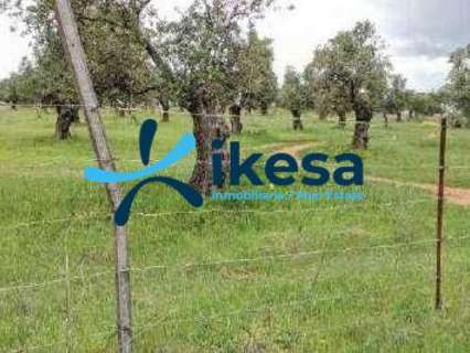 Parcela rústica en venta en Beas