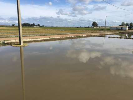 Nave industrial en venta en Amposta