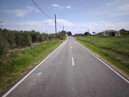 Parcela rústica en venta en Deltebre