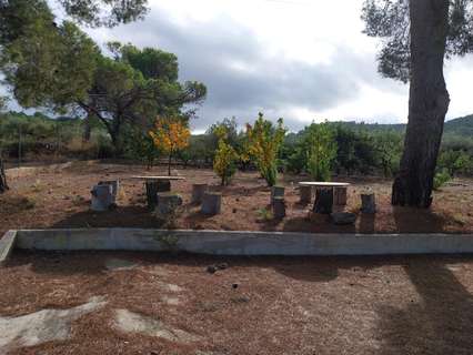 Masía en venta en Freginals