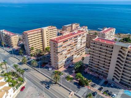 Apartamento en alquiler en Torrevieja