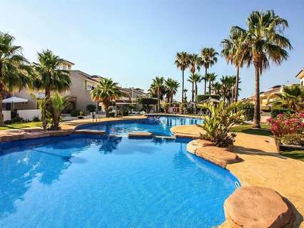 Apartamento en alquiler en Rojales zona Ciudad Quesada