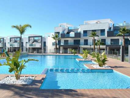 Apartamento en alquiler en Guardamar del Segura