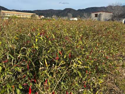 Parcela rústica en venta en Xerta