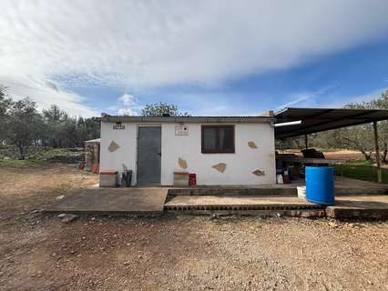 Parcela rústica en venta en Xerta